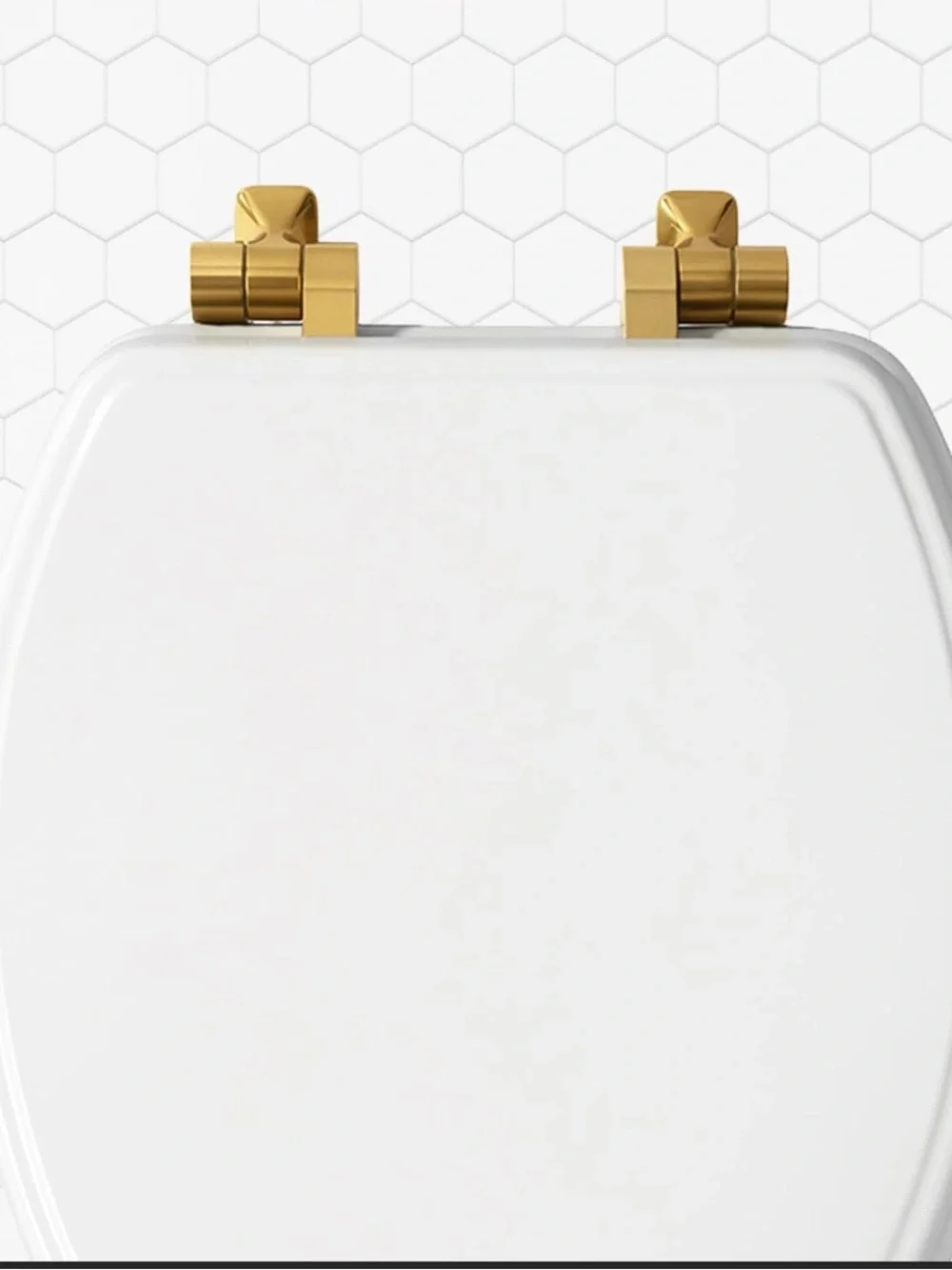 Mayfair toilet seat brushed gold hinges, elongated